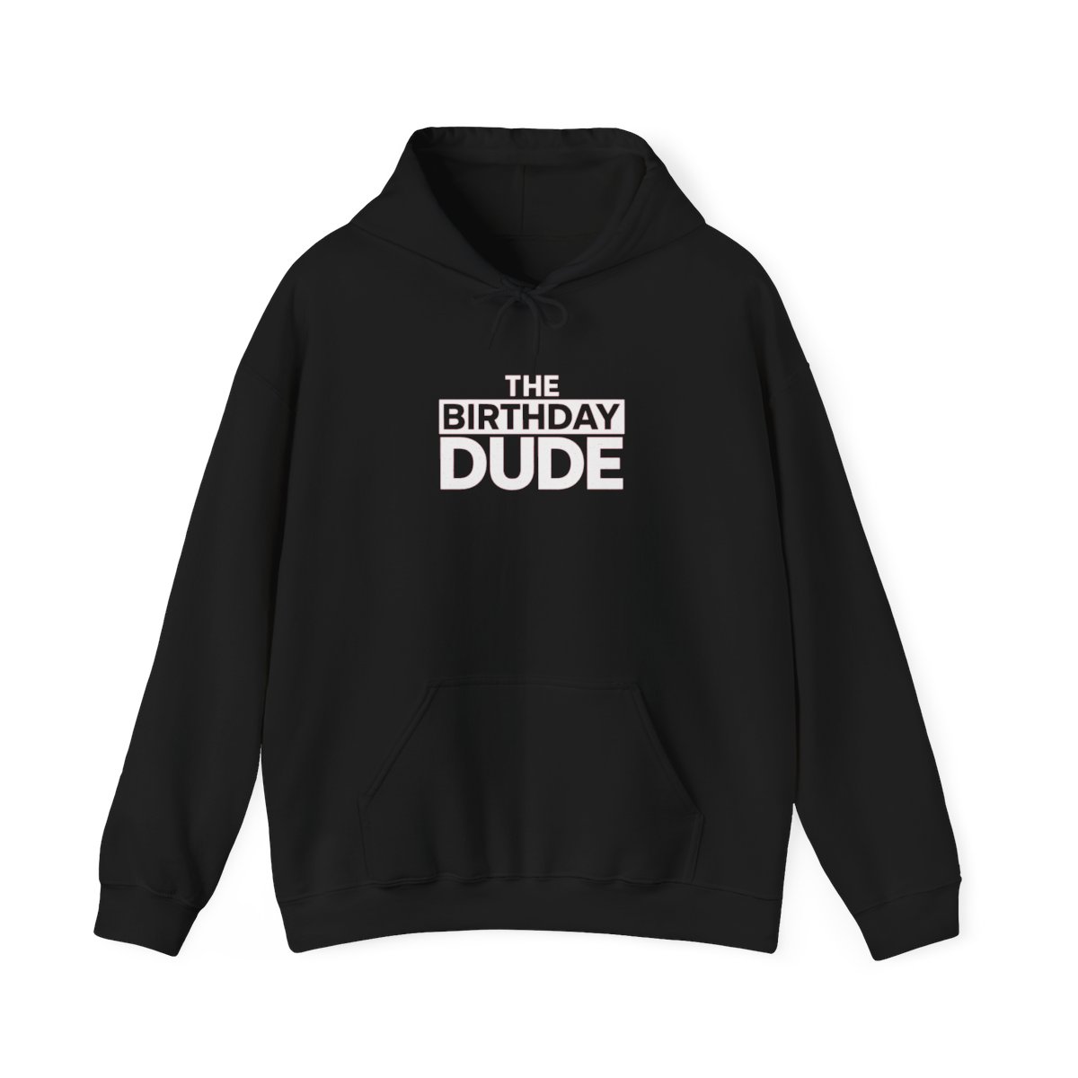 Birthday Dude Funny Celebration Hoodie